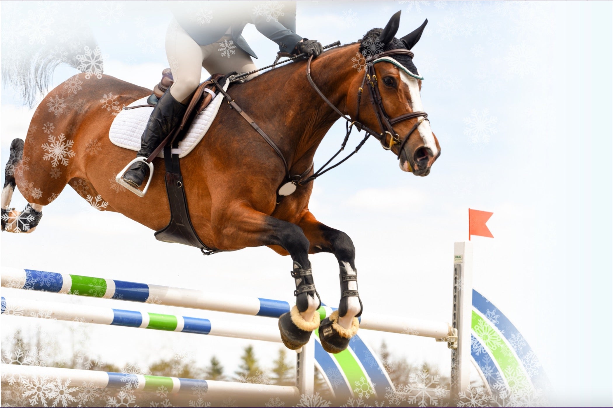 Equine ice boots for post-exercise horse care and horse leg injuries.
