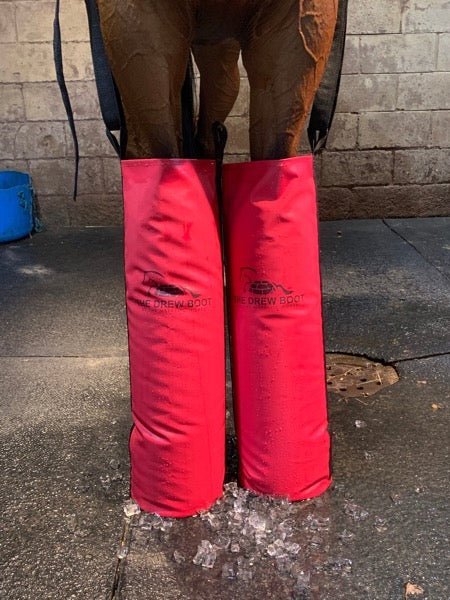 The Drew Boot Equine Ice boots with suspender straps for horse performance recovery.