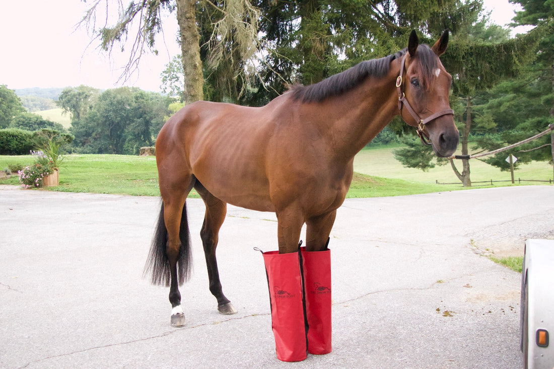 Equestrian Ice boots for horses for recovery or injury.