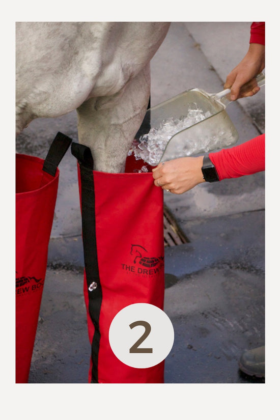 Horse ice boots by the Drew Boot for equestrian care using ice boots for horses.