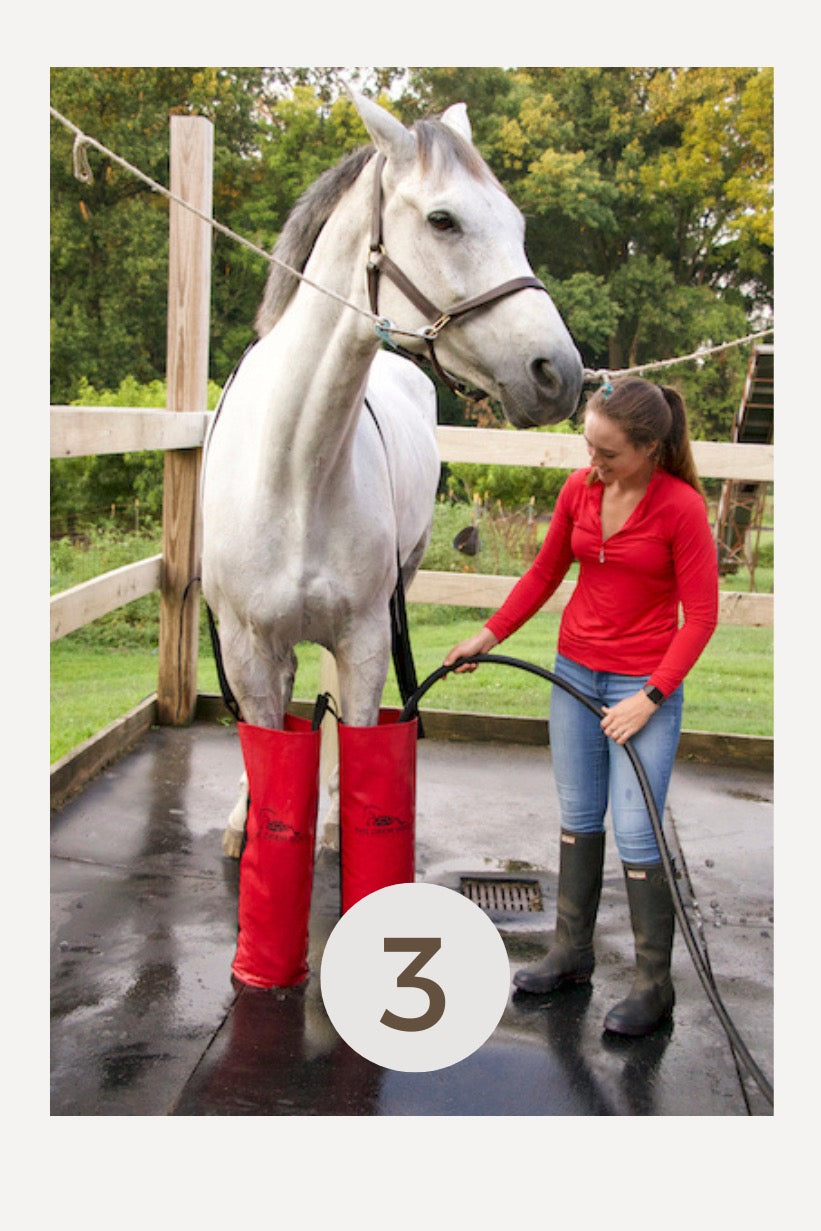 Ice horse ice shop boots