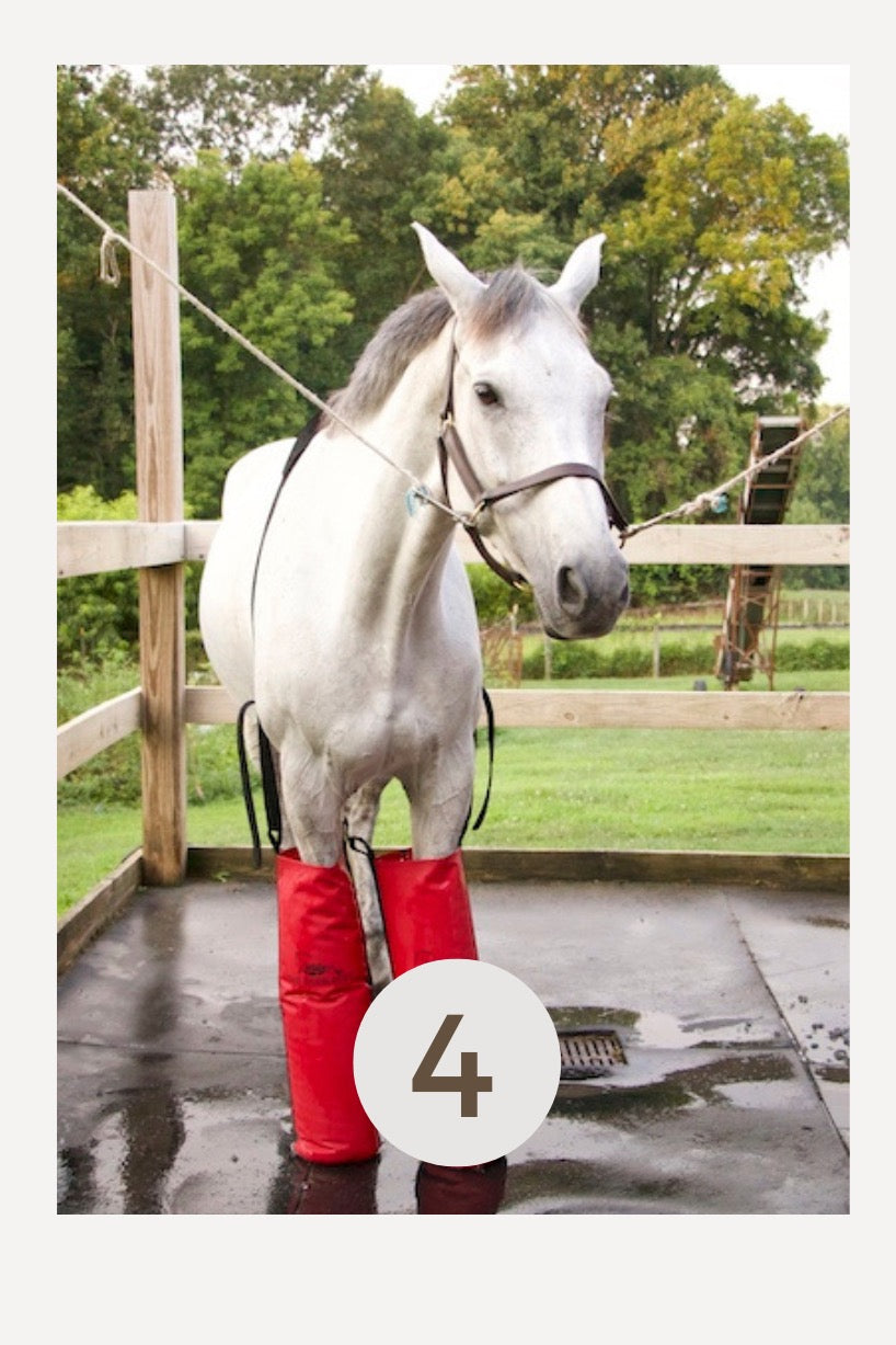 Cold therapy boots by Drew Boot for equestrian care after horse show jumping and eventing.