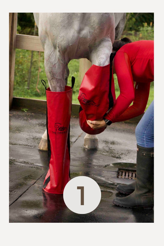 Horse ice boots by the Drew Boot for equestrian care using ice boots for horses.