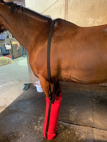 The Drew Boot 2.0 - Equine Ice Soaking Boots with suspender straps - red - The Drew Boot