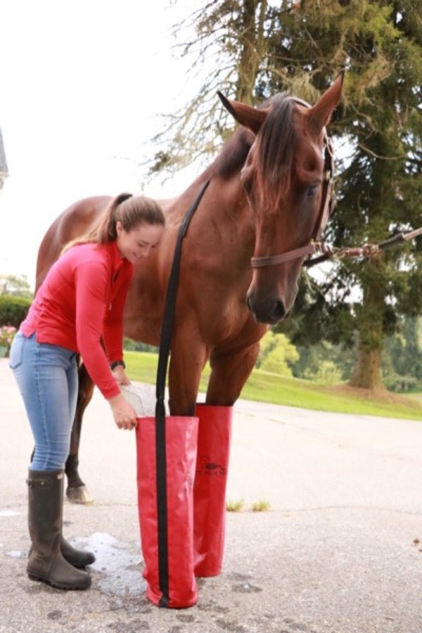 Cold therapy hotsell boots for horses