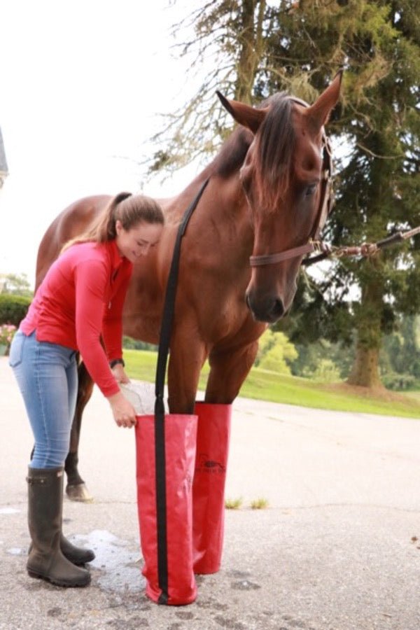The Drew Boot Equine Ice boots with suspender straps are horse specific ice therapy products.