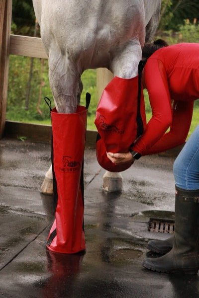 Equine ice boots for horse muscle recovery after eventing and racing.